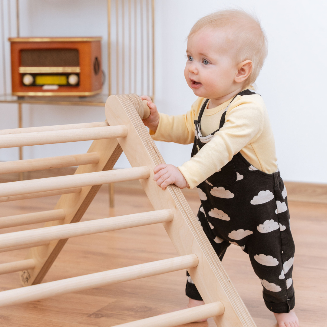SIPITRI® 2 Segment Climbing Triangle With a Sliding/Climbing Ramp